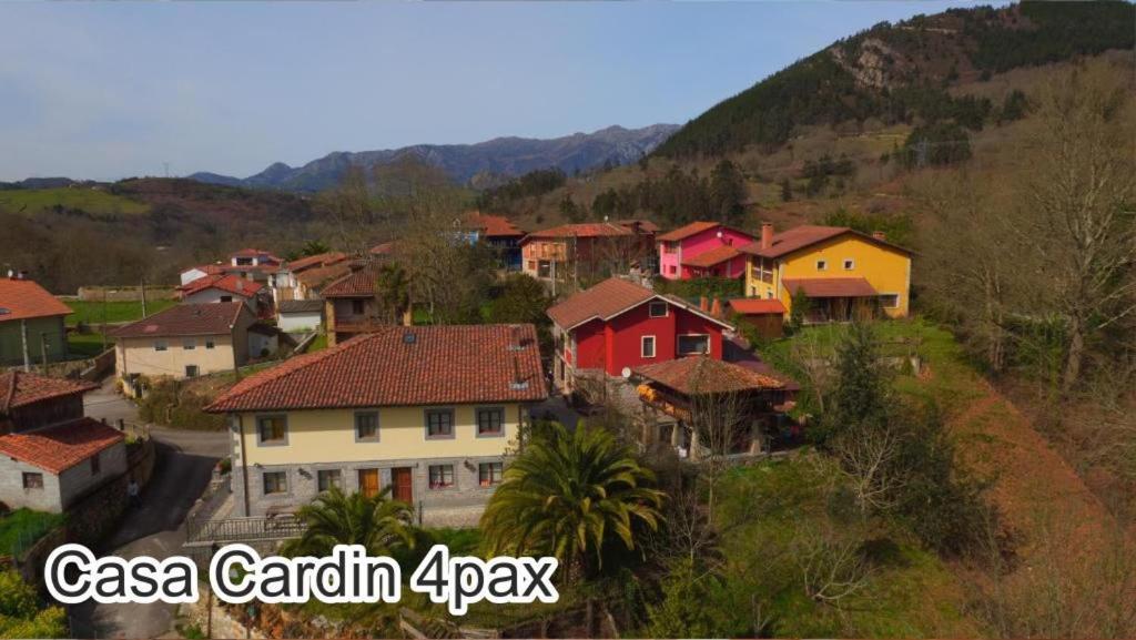 Casa Cardin Apartment Cangas de Onis Ngoại thất bức ảnh